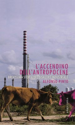 L'accendino dell'Antropocene (eBook, ePUB) - Pinto, Alfonso