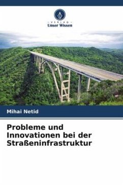Probleme und Innovationen bei der Straßeninfrastruktur - Netid, Mihai