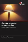 Comportamento organizzativo