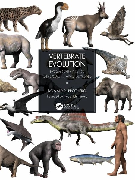 Vertebrate Evolution (eBook, PDF)