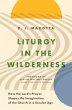 Liturgy in the Wilderness - Bild 1