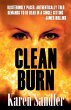 Clean Burn - Bild 1