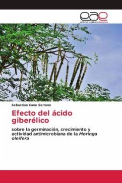 Efecto del ácido giberélico - Cano Serrano, Sebastián