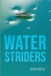 Water Striders - Bild 1