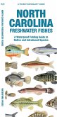 North Carolina Freshwater Fishes: A Waterproof Folding Guide to Native and Introduced Species North Carolina Freshwater Fishes: A Waterproof Folding Guide to Native and Introduced Species