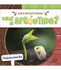 What Is Sprouting? - Box