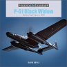 P-61 Black Widow - Bild 1