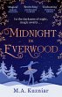 Midnight in Everwood - Bild 1