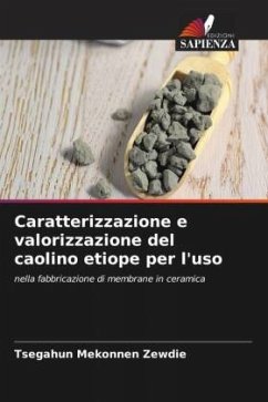 Caratterizzazione e valorizzazione del caolino etiope per l'uso - Mekonnen Zewdie, Tsegahun