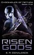 Risen Gods (Chronicles of Nethra, #5)... - Bild 1