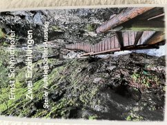 Steiler Aufstieg/Stiller Ausstieg - Schmidhofer, Ernst Steiler Aufstieg/Stiller Ausstieg - Schmidhofer, Ernst