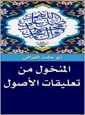 المنخول من تعليقات الأصول (eBook, ePUB)