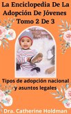 La Enciclopedia De La Adopción De Jóvenes Tomo 2 De 3: Tipos de adopción nacional y asuntos legales (eBook, ePUB)