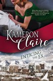 Enticing the Ex (Grayson Enterprises, #2) (eBook, ePUB)