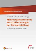 Makroorganisatorische Vorstrukturierungen der Schulgestaltung (eBook, PDF)