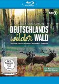 Deutschlands wilder Wald: Das geheime Leben der Rothirsche / Naturwunder Schorfheide