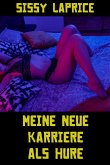 Meine neue Karriere als Hure (eBook, ePUB)