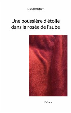 Une poussière d'étoile dans la rosée de l'aube - Brignot, Michel