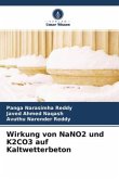 Wirkung von NaNO2 und K2CO3 auf Kaltwetterbeton