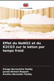Effet du NaNO2 et du K2CO3 sur le béton par temps froid
