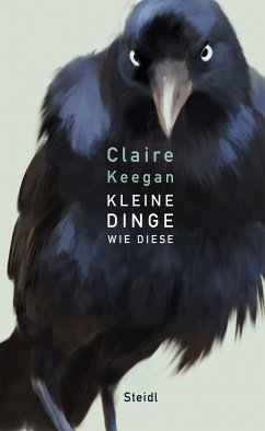 Kleine Dinge wie diese (eBook, ePUB) - Keegan, Claire