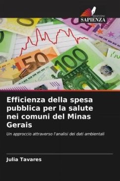 Efficienza della spesa pubblica per la salute nei comuni del Minas Gerais - Tavares, Julia
