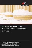 Effetto di NaNO2 e K2CO3 sul calcestruzzo a freddo