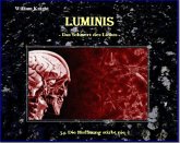 Luminis-das Schwert des Lichts (eBook, ePUB)