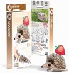 EUGY 650026 - Hedgehog, Igel,... - Bild 1