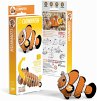 EUGY 650037 - Clownfish, Clownfisch,... - Bild 1