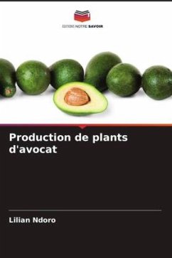 Production de plants d'avocat - Ndoro, Lilian