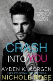 Crash Into You (eBook, ePUB) Crash Into You (eBook, ePUB)