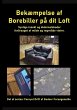 Bekæmpelse af Borebiller på dit Loft... - Bild 1