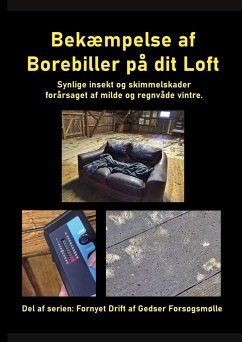 Bekæmpelse af Borebiller på dit Loft (eBook, ePUB) - Ahrenkiel, Gitte