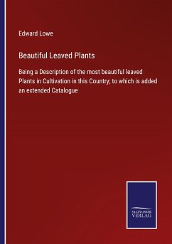 Cover Beautiful Leaved Plants