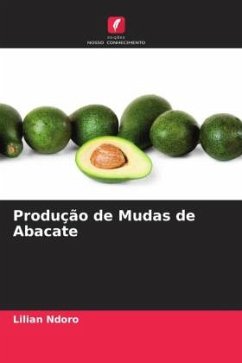 Produção de Mudas de Abacate - Ndoro, Lilian