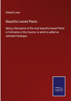 Cover Beautiful Leaved Plants
