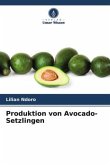Produktion von Avocado-Setzlingen