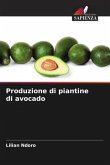 Produzione di piantine di avocado