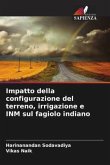 Impatto della configurazione del terreno, irrigazione e INM sul fagiolo indiano