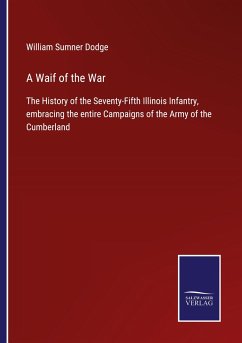 A Waif of the War - Dodge, William Sumner