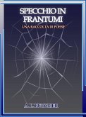 Specchio in Frantumi (eBook, ePUB)