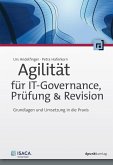 Agilität für IT-Governance, Prüfung & Revision (eBook, PDF)