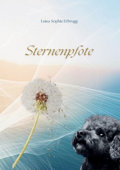 Sternenpfote (eBook, ePUB) - Erbrugg, Luisa-Sophie