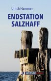 Endstation Salzhaff (eBook, ePUB)