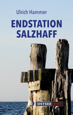 Endstation Salzhaff (eBook, ePUB) - Hammer, Ulrich