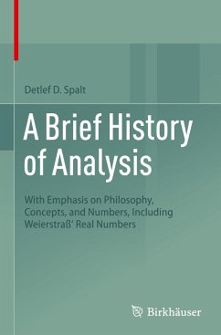 A Brief History of Analysis - Spalt, Detlef D.