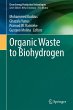 Organic Waste to Biohydrogen - Bild 1