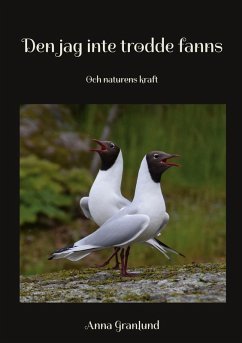 Cover Den jag inte trodde fanns (eBook, ePUB)