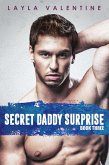 Secret Daddy Surprise (Book Three) (eBook, ePUB)